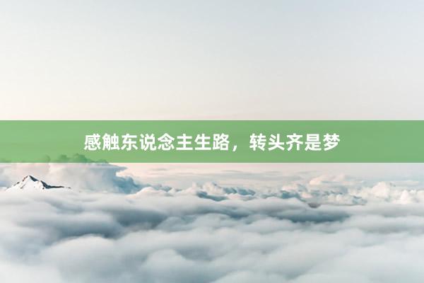 感触东说念主生路，转头齐是梦
