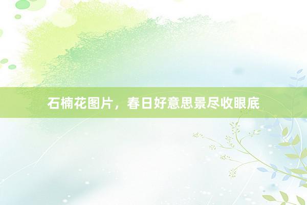 石楠花图片，春日好意思景尽收眼底