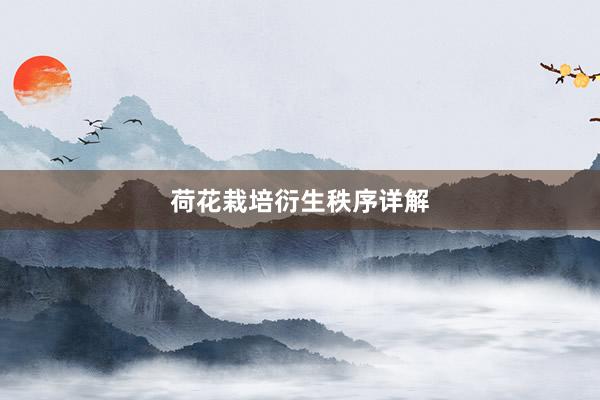 荷花栽培衍生秩序详解