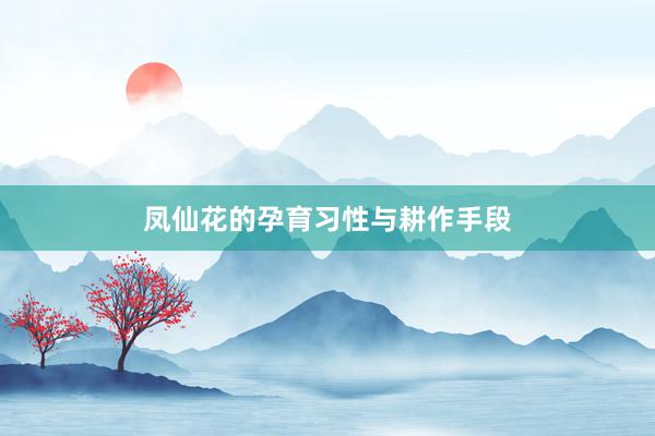 凤仙花的孕育习性与耕作手段