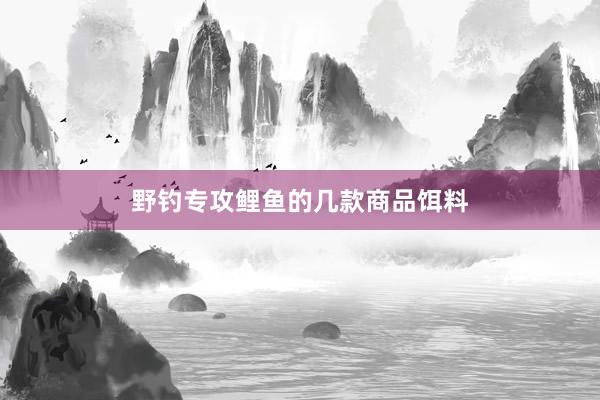 野钓专攻鲤鱼的几款商品饵料