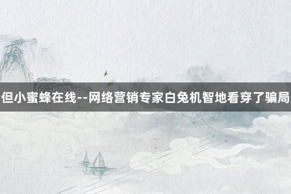 但小蜜蜂在线--网络营销专家白兔机智地看穿了骗局